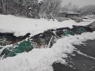 유기농 블루베리 농님의 자유주제 · 자유게시판 작성글 사진