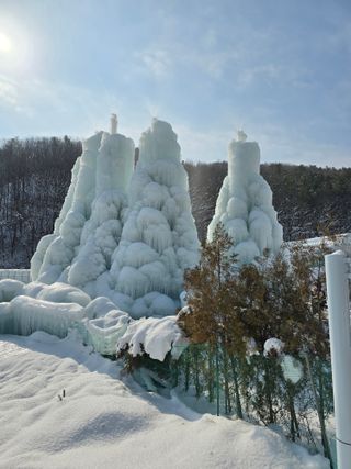 김성환님의 설날 계획 공유해요 · 참여글 작성글 사진