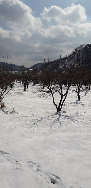이슬농부농산님의 자유주제 · 자유게시판 작성글 사진
