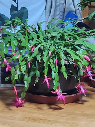 이대석님의 자유주제 · 자유게시판 작성글 사진