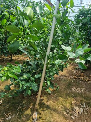 송응준님의 작성글 사진