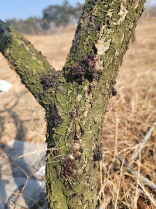 김재현님의 자유주제 · 자유게시판 작성글 사진