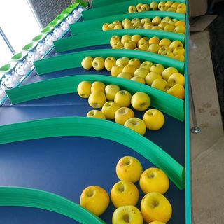 손기홍님의 작성글 사진