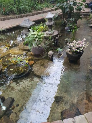 뿌리묘목농원님의 자유주제 · 자유게시판 작성글 사진