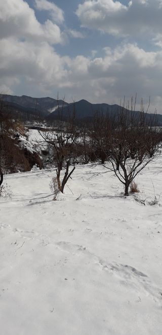 이슬농부농산님의 자유주제 · 자유게시판 작성글 사진