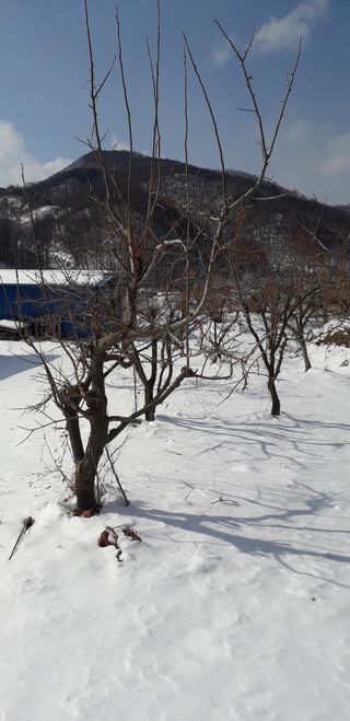 이슬농부농산님의 자유주제 · 자유게시판 작성글 사진