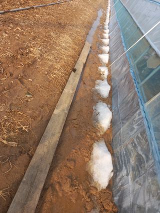 Happy100w님의 자유주제 · 자유게시판 작성글 사진