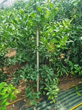 송응준님의 작성글 사진