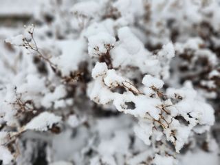 최연재님의 설날 계획 공유해요 · 참여글 작성글 사진
