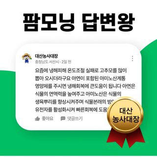 대산농사대장님의 자유주제 · 자유게시판 작성글 사진