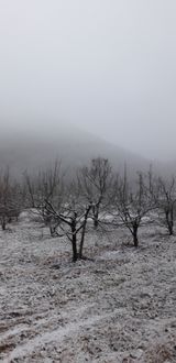 팜모닝 자유주제·자유게시판 게시글 이미지