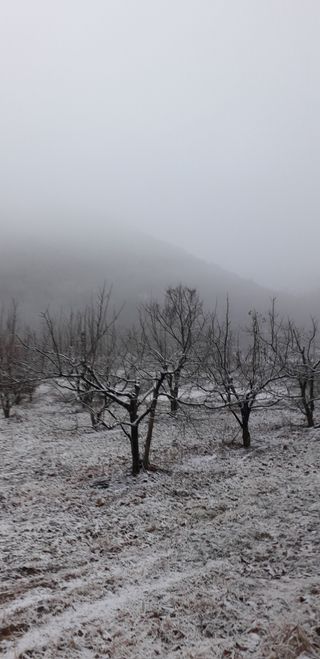 이슬농부농산님의 자유주제 · 자유게시판 작성글 사진