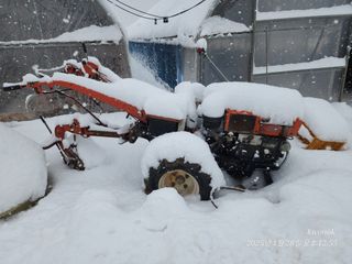정권옥님의 자유주제 · 자유게시판 작성글 사진