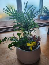 팜모닝 자유주제·자유게시판 게시글 이미지