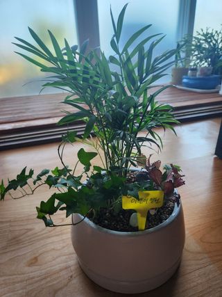 이대석님의 자유주제 · 자유게시판 작성글 사진