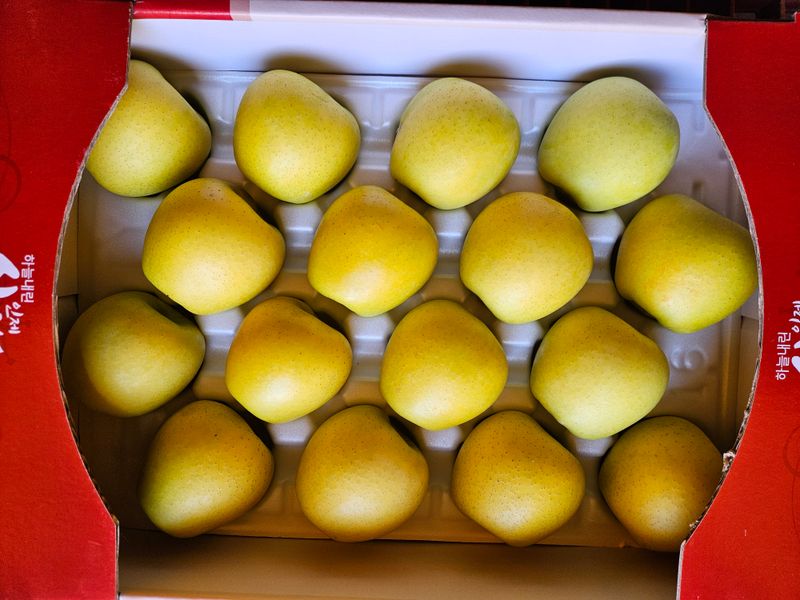 손기홍님의 장터 판매 상품 [시나노골드5키로.10키로] 첨부 사진