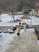 팜모닝 설날 계획 공유해요·참여글 게시글 이미지