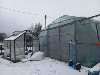 Happy100w님의 자유주제 · 자유게시판 작성글 사진