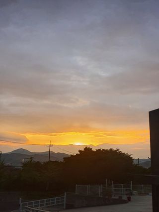 무상(無常)님의 자유주제 · 자유게시판 작성글 사진