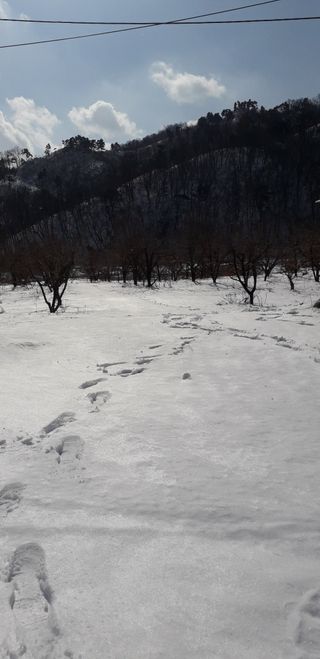 이슬농부농산님의 자유주제 · 자유게시판 작성글 사진
