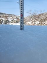 팜모닝 자유주제·자유게시판 게시글 이미지