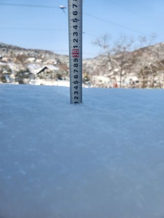 툇골짜기님의 자유주제 · 자유게시판 작성글 사진