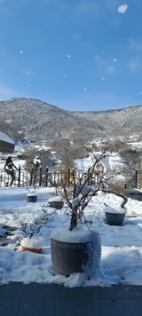 팜모닝 자유주제·자유게시판 게시글 이미지