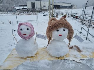 최연재님의 설날 계획 공유해요 · 참여글 작성글 사진