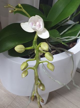 주옥님의 자유주제 · 자유게시판 작성글 사진