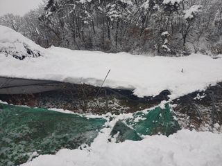 유기농 블루베리 농님의 자유주제 · 자유게시판 작성글 사진