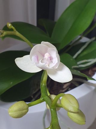 주옥님의 자유주제 · 자유게시판 작성글 사진