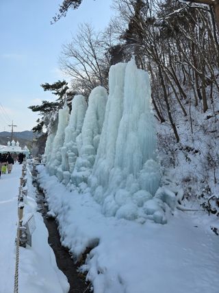 김성환님의 설날 계획 공유해요 · 참여글 작성글 사진