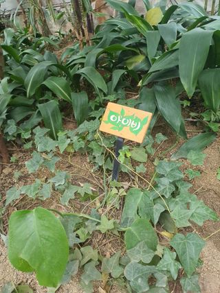 뿌리묘목농원님의 자유주제 · 자유게시판 작성글 사진