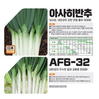 아시아종묘님의 자유주제 · 자유게시판 작성글 사진