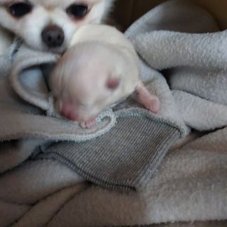 박수연님의 자유주제 · 자유게시판 작성글 사진