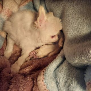 박수연님의 자유주제 · 자유게시판 작성글 사진