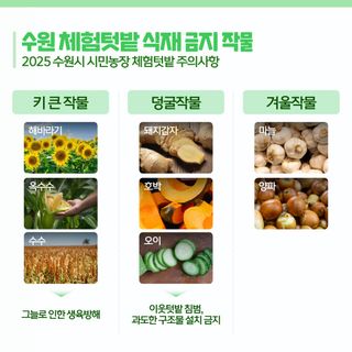 누보농장님의 자유주제 · 자유게시판 작성글 사진