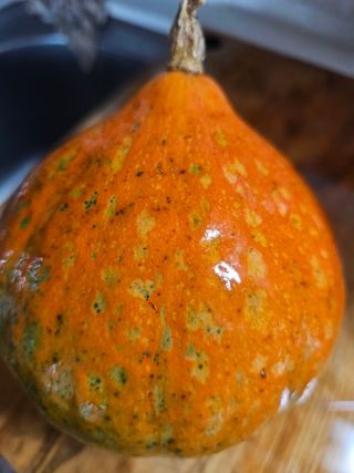 farmer님의 자유주제 · 자유게시판 작성글 사진