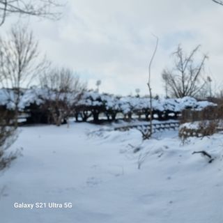 이천산수유님의 설날 계획 공유해요 · 참여글 작성글 사진