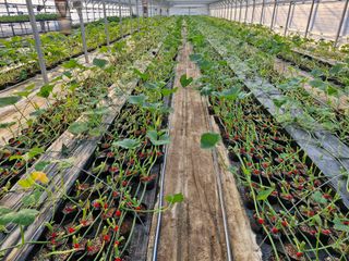 최근학님의 자유주제 · 자유게시판 작성글 사진