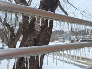 자두20879님의 자유주제 · 자유게시판 작성글 사진