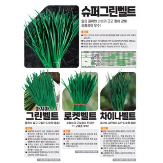 아시아종묘님의 자유주제 · 자유게시판 작성글 사진