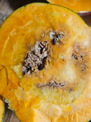 farmer님의 자유주제 · 자유게시판 작성글 사진