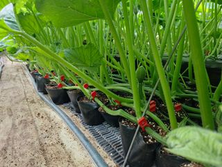 최근학님의 자유주제 · 자유게시판 작성글 사진