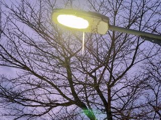 자두20879님의 자유주제 · 자유게시판 작성글 사진