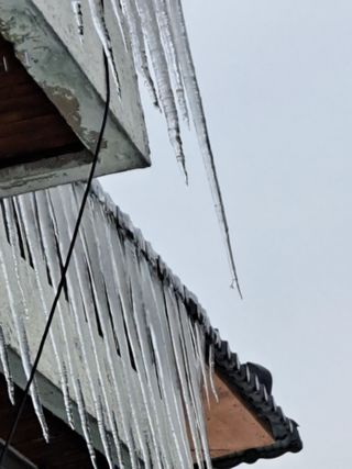 좋은인연원님의 자유주제 · 자유게시판 작성글 사진