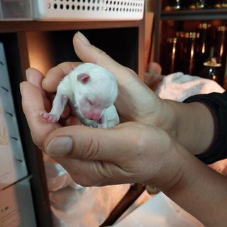 박수연님의 자유주제 · 자유게시판 작성글 사진