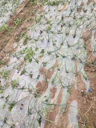 박정석님의 자유주제 · 자유게시판 작성글 사진