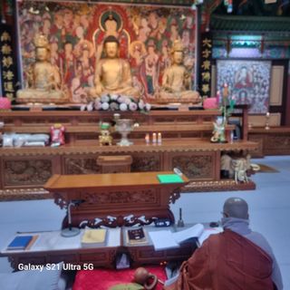 이천산수유님의 설날 계획 공유해요 · 참여글 작성글 사진