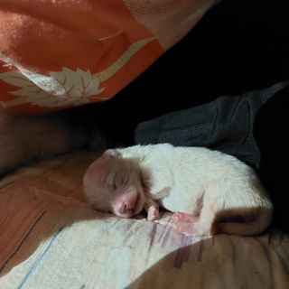 박수연님의 자유주제 · 자유게시판 작성글 사진